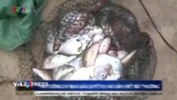 Việt Nam lên tiếng sau khi bị các nghị sĩ Mỹ chỉ trích về vụ Formosa Việt Nam lên tiếng sau khi bị các nghị sĩ Mỹ chỉ trích về vụ Formosa