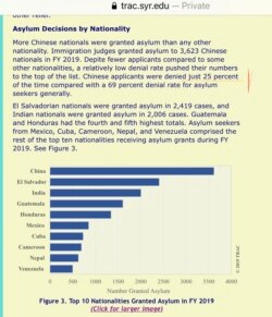 雪城大学的数据显示,2019年美国移民法庭通过的庇护申请中,中国人数名列榜首。(网页截屏)