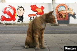 上海街头的习近平宣传画前站着一只猫。(2018年9月28日)