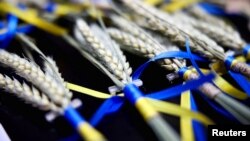 欧盟委员会主席乌尔苏拉·冯德莱恩在德国柏林参观一个名为“基辅咖啡馆”的咖啡馆时馆内摆放的用乌克兰国旗颜色的丝带系着的麦穗。(2024年2月19日)