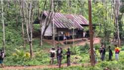 ထိုင်းတောင်ပိုင်းမှာ မြန်မာအလုပ်သမား ၃ ယောက်နဲ့ ထိုင်းအလုပ်ရှင် ပစ်သတ်ခံရ
 ထိုင်းတောင်ပိုင်းမှာ မြန်မာအလုပ်သမား ၃ ယောက်နဲ့ ထိုင်းအလုပ်ရှင် ပစ်သတ်ခံရ