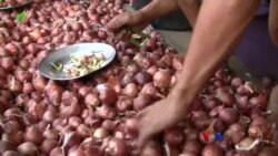 ကြက်သွန်နီ ဖိလစ်ပိုင်တင်ပို့နိုင်ဖို့ ဆွေးနွေးနေ “လယ်ယာစီးပွားသတင်းများ” ကြက်သွန်နီ ဖိလစ်ပိုင်တင်ပို့နိုင်ဖို့ ဆွေးနွေးနေ “လယ်ယာစီးပွားသတင်းများ”