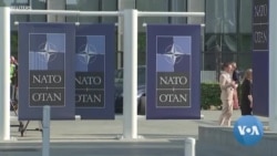 Days Before Vilnius Summit, Biden Won’t Budge on Ukraine Joining NATO  Days Before Vilnius Summit, Biden Won’t Budge on Ukraine Joining NATO