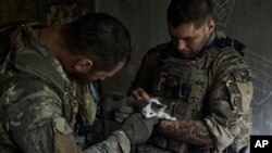 在扎波罗热地区的前线,乌克兰军人在俄军炮击期间在掩体内抚慰一只幼猫。(2023年7月2日)