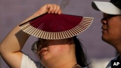 北京酷暑中一名女子用扇子遮住火辣的阳光。(2024年6月16日)