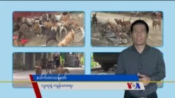 ခွေးရူးပြန်ကာကွယ်မှု လေလွင့်ခွေးလျော့နည်းဖို့လို “လူထုနဲ့ ကျန်းမာရေး”  ခွေးရူးပြန်ကာကွယ်မှု လေလွင့်ခွေးလျော့နည်းဖို့လို “လူထုနဲ့ ကျန်းမာရေး”