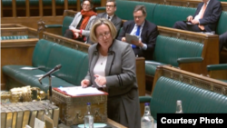 英国印太事务国务大臣特里维廉 (UK Parliament TV资料照片)