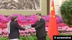 阿富汗驻中国大使比拉尔·卡里米向习近平递交国书。(2024年1月30日)