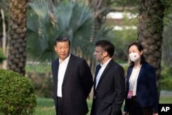 中国领导人习近平在广州市的一个花园散步。(2023年4月7日)