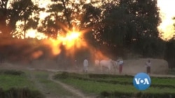 ၂၀၂၃ လယ်ယာကဏ္ဍ ကျဆင်းခဲ့ (နှစ်ကူး အထူးအစီအစဉ်) ၂၀၂၃ လယ်ယာကဏ္ဍ ကျဆင်းခဲ့ (နှစ်ကူး အထူးအစီအစဉ်)