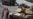 16x9 Image