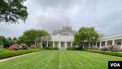 资料照片:白宫玫瑰园。(2024年5月10日)