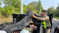 ထိုင်းနိုင်ငံမှာ ၅ ရက်အတွင်း မြန်မာ ၁၀၀ ကျော်ဖမ်းဆီးခံရ ထိုင်းနိုင်ငံမှာ ၅ ရက်အတွင်း မြန်မာ ၁၀၀ ကျော်ဖမ်းဆီးခံရ