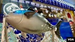 香港政府从2023年8月24日开始禁止日本10个都县水产品进口,有日式餐厅负责人表示,暂时对生意影响不大 (美国之音/汤惠云)