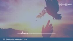 စစ်ပွဲတွေအတွင်း လိုက်နာရမယ့် လူသားချင်း စာနာထောက်ထားရေး နိုင်ငံတကာဥပဒေ
 စစ်ပွဲတွေအတွင်း လိုက်နာရမယ့် လူသားချင်း စာနာထောက်ထားရေး နိုင်ငံတကာဥပဒေ