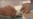16x9 Image