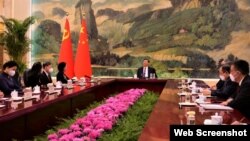 Chủ tịch Trung Quốc Tập Cận Bình và phái đoàn của bà Trương Thị Mai. Photo by Nhan Dan. [Ảnh minh họa]