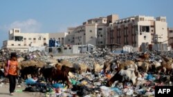 在以哈冲突期间加沙地带南部的阿斯达中央监狱设施成为流离失所者的避难所,现在的现状。(2024年8月14日)