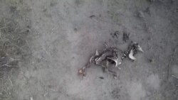 ရုပ်ကြွင်းလောင်စာသုံးစွဲမှုအဆုံးသတ်ရေး COP28 ညီလာခံသဘောတူမှုရရှိ ရုပ်ကြွင်းလောင်စာသုံးစွဲမှုအဆုံးသတ်ရေး COP28 ညီလာခံသဘောတူမှုရရှိ