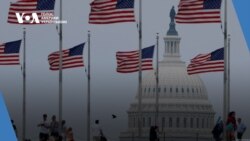 Студія Вашингтон. Роль американських ветеранів у підтримці України