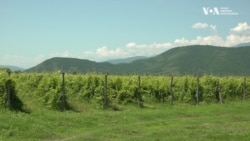 Грузини готуються до вирішальних виборів. Відео Грузини готуються до вирішальних виборів. Відео