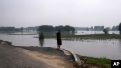 中国河北廊坊一位村民看着被洪水淹没的庄稼。(2023年8月2日)