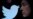 Elon Musk cho biết Twitter sẽ giới hạn số lượng tweet mà người dùng có thể đọc