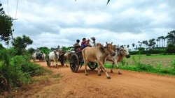 စစ်ကိုင်းတိုင်း ပုလဲမြို့မှာ တိုက်ပွဲထပ်ဖြစ်
 စစ်ကိုင်းတိုင်း ပုလဲမြို့မှာ တိုက်ပွဲထပ်ဖြစ်