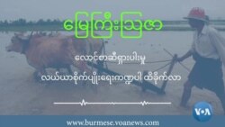 လောင်စာဆီရှားပါးမှု လယ်ယာစိုက်ပျိုးရေးကဏ္ဍပါ ထိခိုက်လာ လောင်စာဆီရှားပါးမှု လယ်ယာစိုက်ပျိုးရေးကဏ္ဍပါ ထိခိုက်လာ