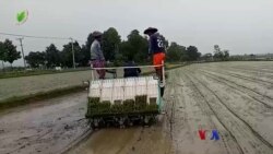 လယ်ယာသုံးစက်ပစ္စည်း ငွေချေးကိစ္စ တောင်သူတွေသိလို “လယ်ယာစီးပွားသတင်းများ”  လယ်ယာသုံးစက်ပစ္စည်း ငွေချေးကိစ္စ တောင်သူတွေသိလို “လယ်ယာစီးပွားသတင်းများ”