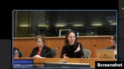 Nghị viên EU Marianne Vind và Saskia Bricmont phát biểu tại hội thảo ngày 28/2/2023. Photo via Cisco Webex.