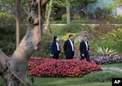 中国领导人习近平在广州市的一个花园散步。(2023年4月7日)