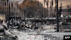 资料照片:美国夏威夷州毛伊岛2023年8月遭大火肆虐,损失惨重。(法新社摄)