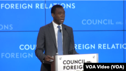 美国财政部副部长沃利·阿德耶莫(Wally Adeyemo)在美国外交关系协会针对国际社会对俄罗斯的制裁发表讲话。(视频截图)