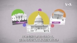 2024 美国总统大选 --美国的国会两院制度 2024 美国总统大选 --美国的国会两院制度