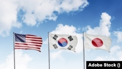 Китай спостерігає зміцнення очолюваних США альянсів у Тихому океані, так само як зовнішня політика Росії змусила деякі країни Європи долучитись до НАТО після повномасштабного російського вторгнення в Україну, - пише Wall Street Journal.