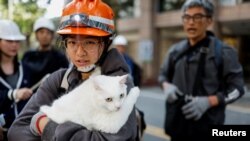 台湾花莲一名16岁的姑娘在撤离时抱着自己的宠物猫。(2024年4月4日)