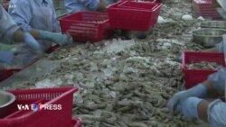 Mỹ hoãn quyết định về quy chế kinh tế thị trường cho Việt Nam đến đầu tháng 8 Mỹ hoãn quyết định về quy chế kinh tế thị trường cho Việt Nam đến đầu tháng 8