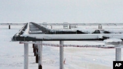 资料照片:阿拉斯加北坡一处石油开采地点的管道。(2016年2月9日)