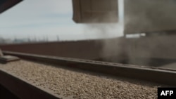 资料照片：敖德萨地区黑海港口的货船传送带上，粮食正在被装上船。