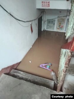 涿州一涿州职业学院陈姓退休教师女儿发来楼道被淹照片。(2023年8月2日)