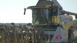 ယူကရိန်းစိုက်ပျိုးရာသီနဲ့ သယ်ယူစားရိတ်
 ယူကရိန်းစိုက်ပျိုးရာသီနဲ့ သယ်ယူစားရိတ်