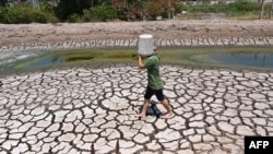 Tình trạng khô hạn ở tỉnh Bến Tre, Việt Nam, 19/3/2024.