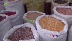 တရုတ်သို့ ပဲတင်ပို့မှု ရပ်တန့် “လယ်ယာစီးပွားသတင်းများ”  တရုတ်သို့ ပဲတင်ပို့မှု ရပ်တန့် “လယ်ယာစီးပွားသတင်းများ”