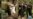 16x9 Image