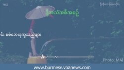 နေရပ်ပြန်ဖို့ ဖိအားပေးခံနေရတဲ့ ရှမ်းပြည်မြောက်ပိုင်း စစ်ဘေးဒုက္ခသည်များ  နေရပ်ပြန်ဖို့ ဖိအားပေးခံနေရတဲ့ ရှမ်းပြည်မြောက်ပိုင်း စစ်ဘေးဒုက္ခသည်များ
