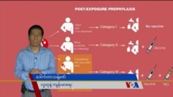 ခွေးရူးပြန်ကာကွယ်ဆေး ထိုးနှံဖို့ အရေးကြီး “လူထုနဲ့ ကျန်းမာရေး”  ခွေးရူးပြန်ကာကွယ်ဆေး ထိုးနှံဖို့ အရေးကြီး “လူထုနဲ့ ကျန်းမာရေး”