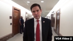 资料照片:共和党参议员鲁比奥接受美国之音乌克兰语组记者采访。(2023年11月8日)