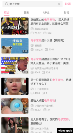 视频网站哔哩哔哩上搜索“电子宠物”可见大量网暴内容