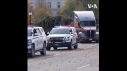 国会山迎来圣诞树 